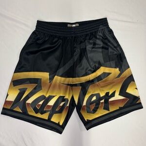 Mitchell & Ness Toronto Raptors Big Face 4.0 Shorts Medium NBA Hardwood Classics